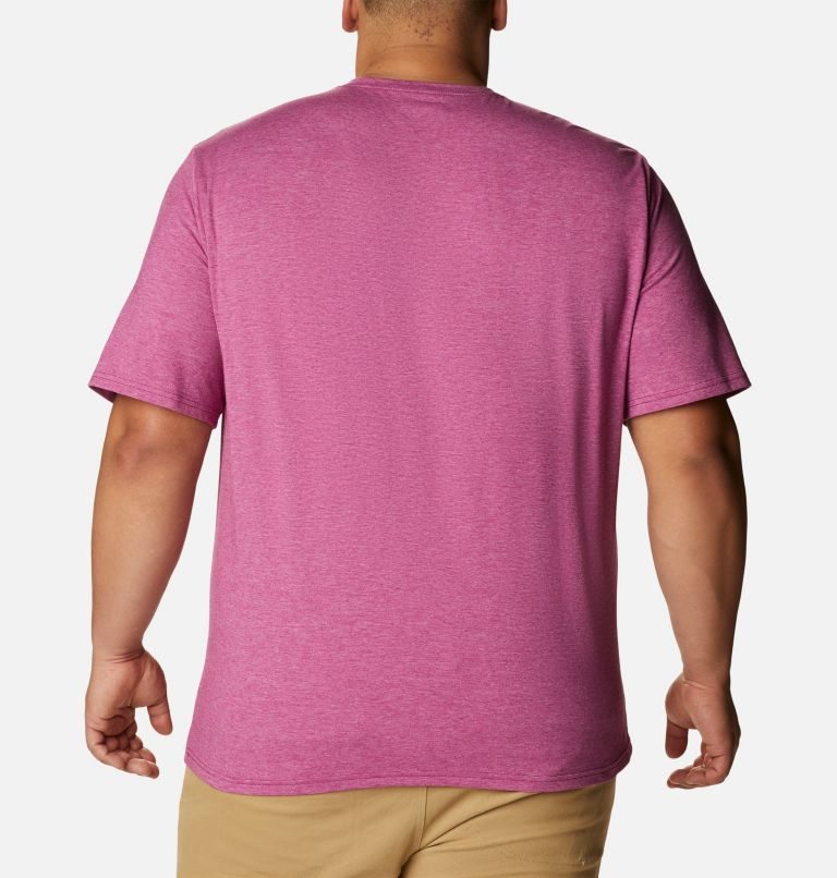 Men's Columbia Sun Trek Short Sleeve T Shirts Fuchsia | Plus Size CA-F501L